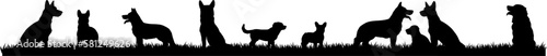 Silhouetten  Hunde auf einer Wiese
