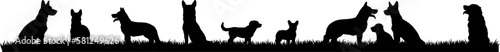 Silhouetten: Hunde auf einer Wiese