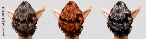 Hair of different shades of brunette, blonde and red. Woman collage back view