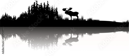 Landschaft: Wald mit Elch und Wiese