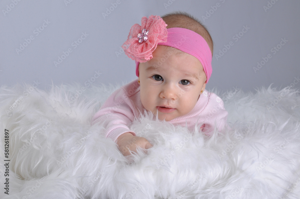 bebé de 6 meses menina retrato em estúdio bebé de 6 meses menina retrato em estúdio