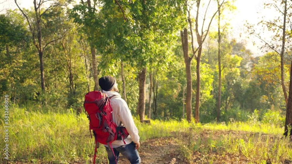 4K Indian man backpacker hiking in forest. Handsome guy traveler enjoy adventure activity outdoor lifestyle walking mountain dirt road on summer holiday vacation. Ecotourism and solo travel concept. 4K Indian man backpacker hiking in forest. Handsome guy traveler enjoy adventure activity outdoor lifestyle walking mountain dirt road on summer holiday vacation. Ecotourism and solo travel concept.