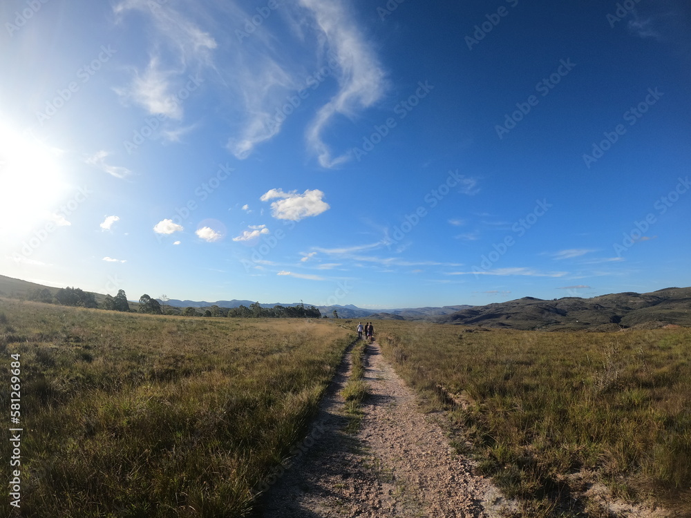 Fototapeta premium path trail sky forest biome nature