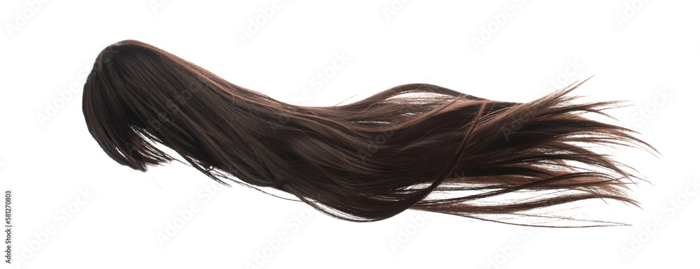 Long straight Wig hair style fly fall explosion. Brown woman wig hair float in mid air. Straight brown wig hair wind blow cloud throw. White background isolated high speed freeze motion - obrazy, fototapety, plakaty 