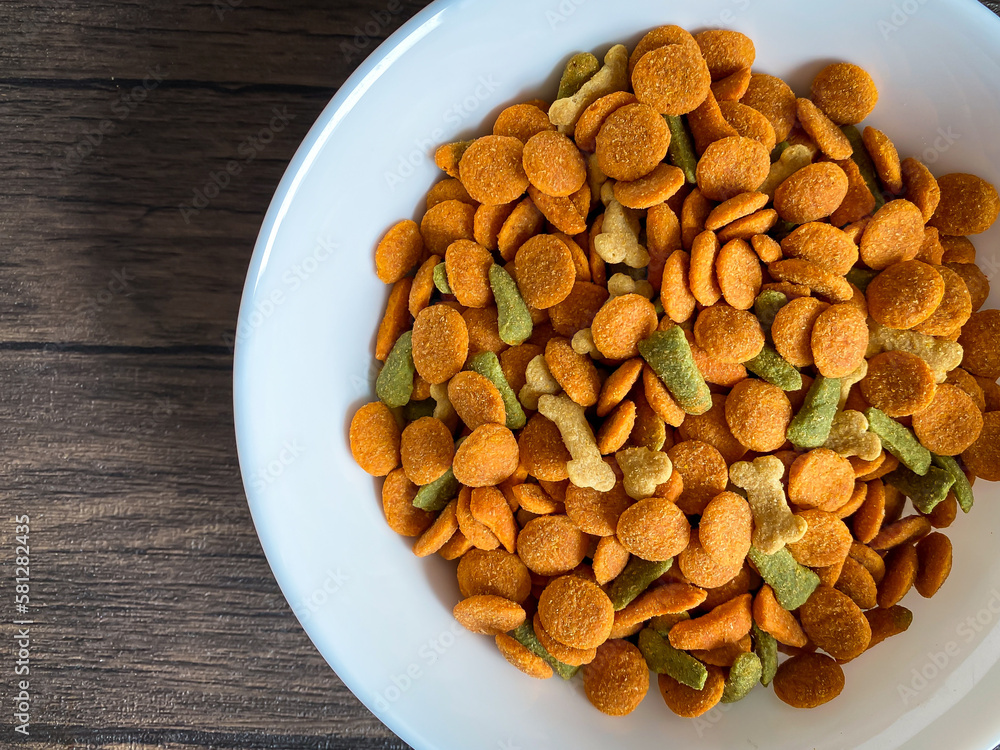 Dog food ready to eat on the wood background Dog food ready to eat on the wood background