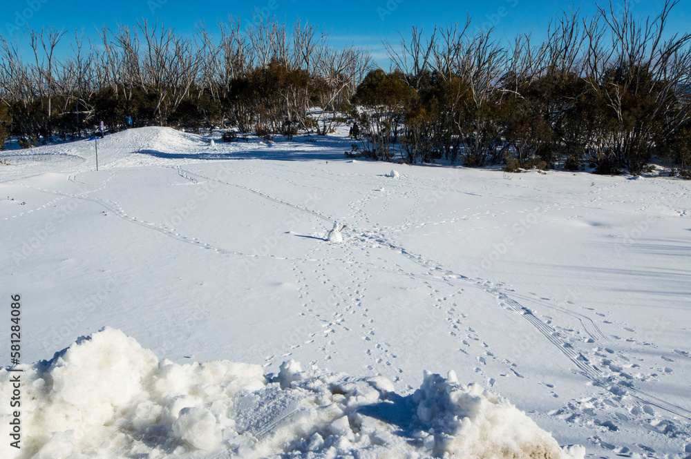 Obraz premium track in the snow