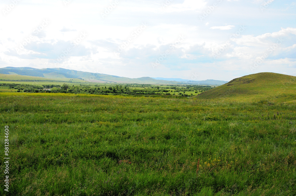 Endless steppe with rare hills and high mountains in the distance on a cloudy summer day. K