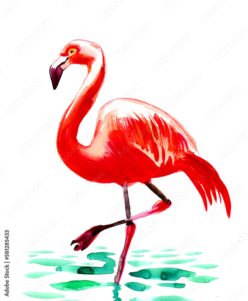 Fototapeta premium Pink flamingo bird. Ink and watercolor drawing