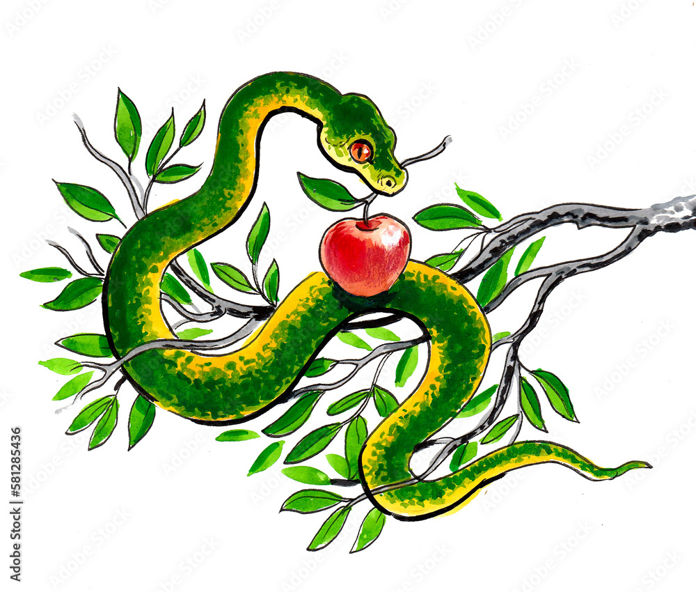 Fototapeta premium Snake with apple. Ink and watercolor drawing
