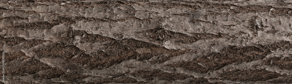 Enlarged and detailed horizontal texture photo background of reddish dark brown pine tree bark with splitted and cracked surface