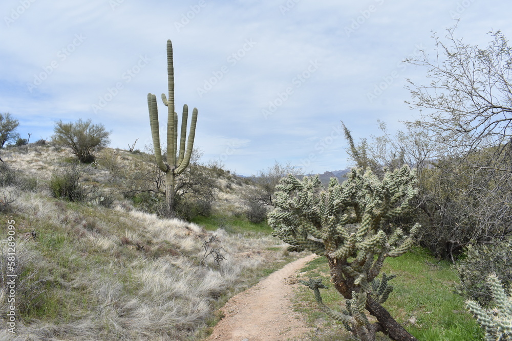 Arizona Trail to Picketpost Mountain, Hiking on Sunny Day Arizona Trail to Picketpost Mountain, Hiking on Sunny Day