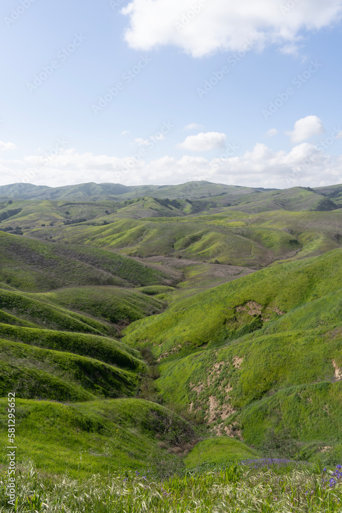 landscape with grass and blue sky