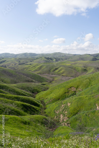 Wallpaper Mural landscape with grass and blue sky Torontodigital.ca