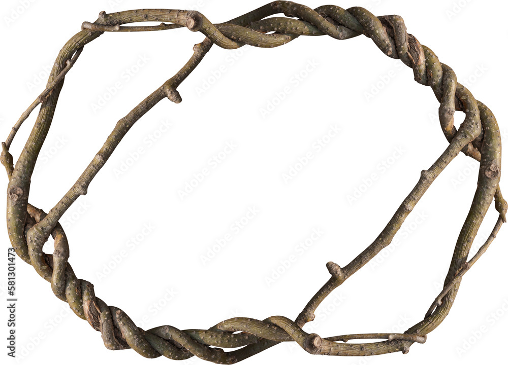 Twisted dried Liana jungle vine. Twisted dried Liana jungle vine.