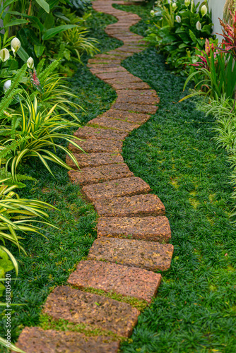 close up path in a garden