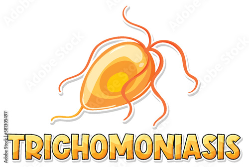 Trichomonas vaginalis (a protozoan parasite) photo