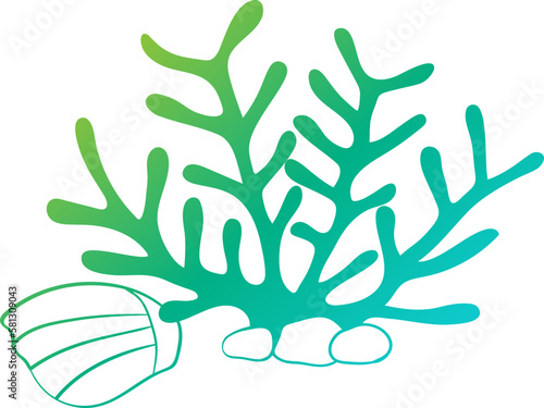 Coral illustration  icon  element for decoration.
