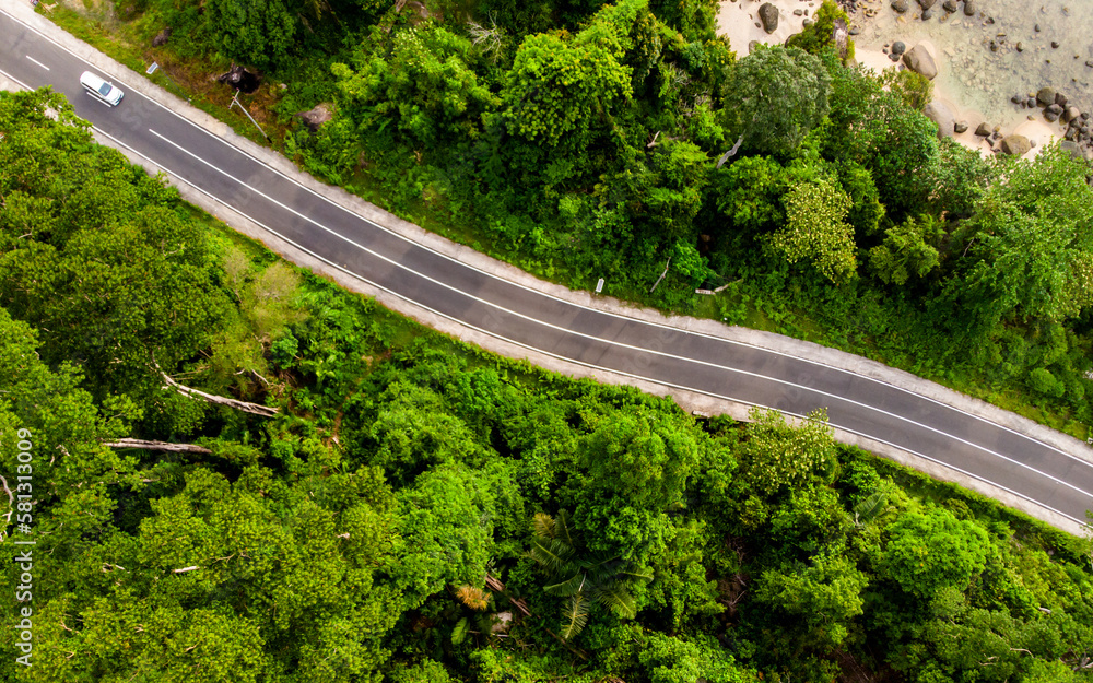 Aerial view of empty road with green forest