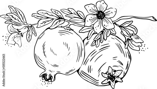 Lineart of two whole pomegranate fruits with leaves and flowers black on white background