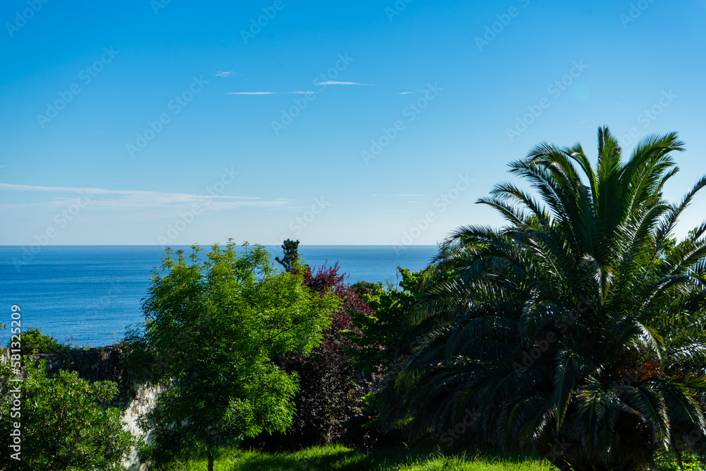 The Spanish coast of the Atlantic Ocean. Palm trees, trees and the sea horizon