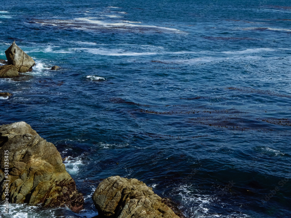 Watching the waves at Point Lobos State Natural Reserve in California