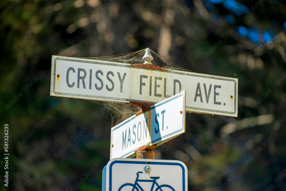 White and black road sign that say Crissy field avenue and mason street with bicycle on post near road in downtown city