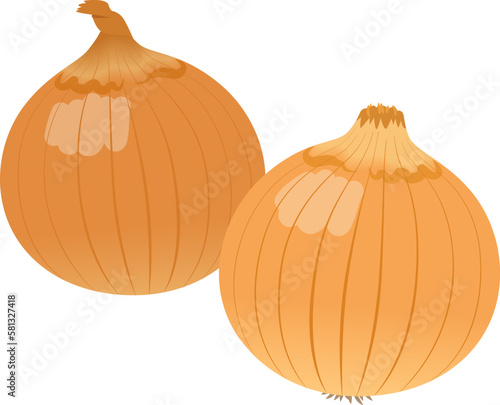 玉ねぎ_野菜_ベクターイラスト