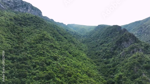 Wallpaper Mural Panoramic view of mountainside with forest and vegetation Torontodigital.ca