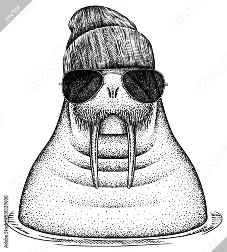 Vintage engrave isolated walrus set dressed fashion  illustration ink costume sunglasses sketch. Sea seal background arctic glasses hipster hat vector art