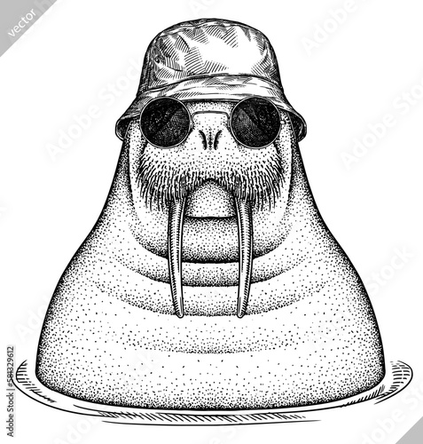 Vintage engrave isolated walrus set dressed fashion  illustration ink costume sunglasses sketch. Sea seal background arctic glasses hipster hat vector art