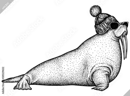 Vintage engrave isolated walrus set dressed fashion  illustration ink costume sunglasses sketch. Sea seal background arctic glasses hipster hat vector art