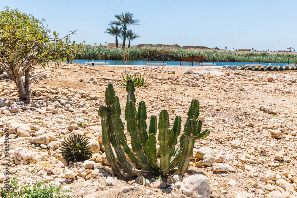 Al Balid Archaeological Park near Salalah, Sultate of Oman Al Balid Archaeological Park near Salalah, Sultate of Oman