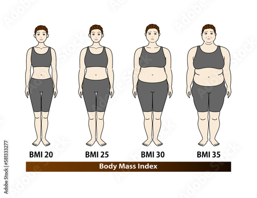 中高年女性のBMI指数による体型の変化 ボディマスインデックス イラスト ベクター