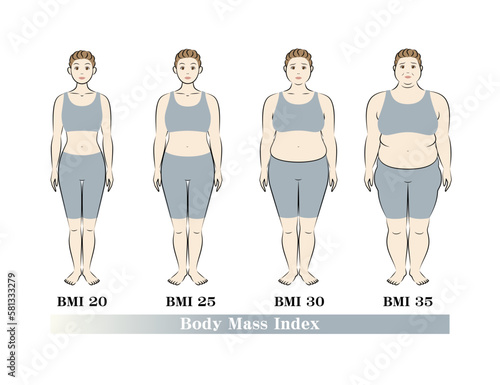 ボディマスインデックス 中高年女性の体形変化 ダイエットのビフォーアフター イラスト ベクター