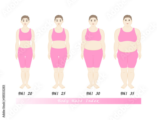 中高年女性のBMI指数による体型の変化 ボディマスインデックス イラスト ベクター
