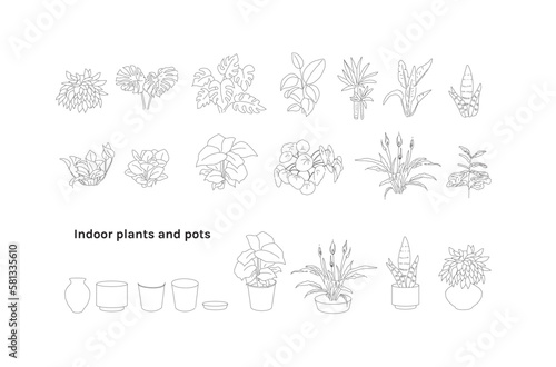 Flat vector Illustration of a foliage plant. indoor plants in pot line drawing, Minimal style, Side view