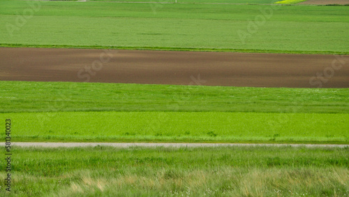 Field stripes in Summer