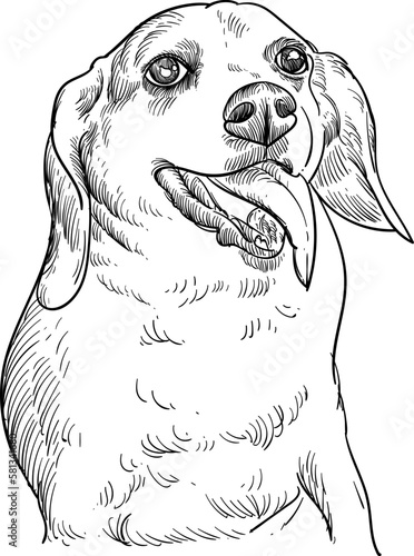 Vintage hand drawn sketch smile beagle dog