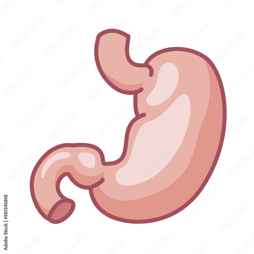 Human stomach icon. Vector symbol Human stomach icon. Vector symbol