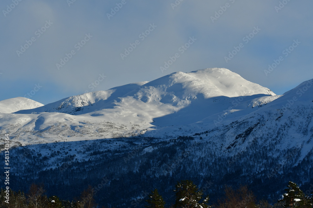 Winter mountain landscape trees snow norway scandinavia