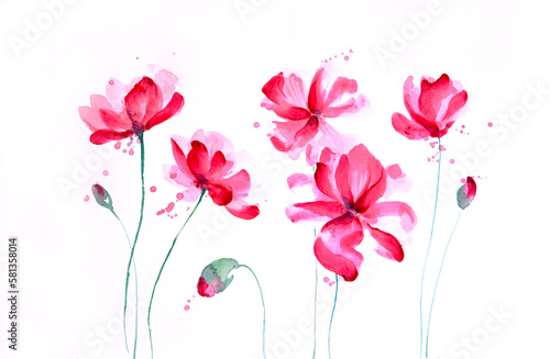 Wallpaper Mural Poppy flower watercolor, pink-red blooms and buds, bright petals on delicate stems hand drawn on white background with paint splashes. Stylized floral elements of spring blossoms for design. Torontodigital.ca
