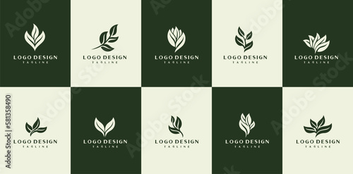 Retro simple eco leaf logo design