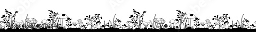 seamless vector border with forest mushrooms and plants