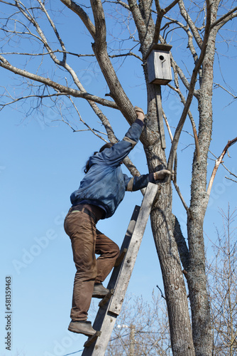 A man in work clothes sets up a birdhouse on the high branches of a tree against the sky on a spring sunny day.