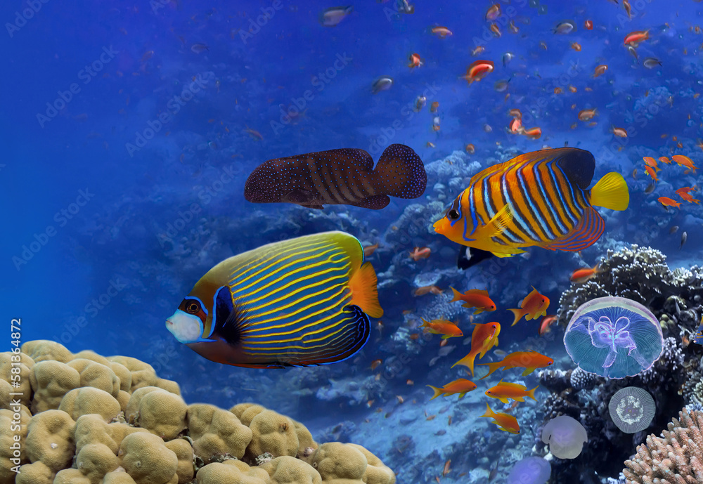 Fototapeta premium Underwater coral reef landscape