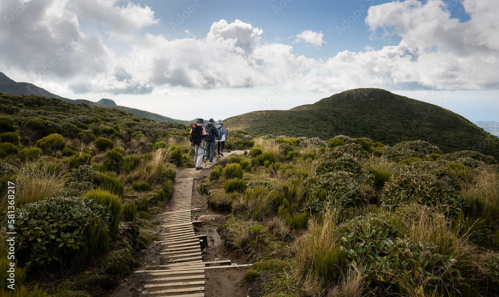 Three people hiking Pouakai circuit on boardwalk, Egmont National Park. New Zealand.