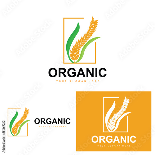 Wheat Rice Logo, Agricultural Organic Plants Vector, Luxury Design Golden Bakery Ingredients