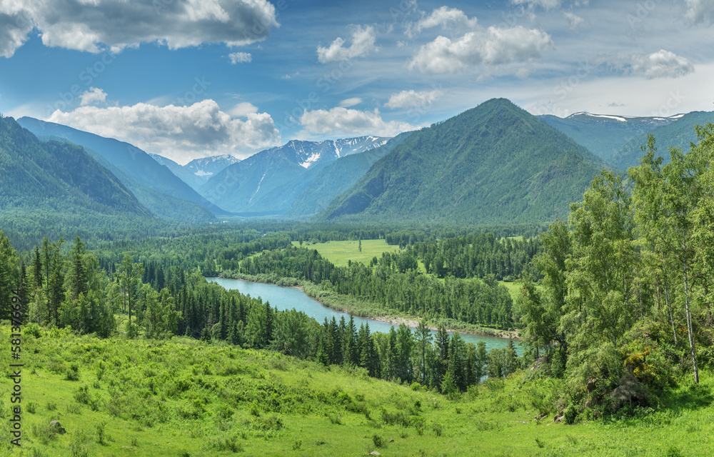 Naklejka premium Picturesque mountain valley on a sunny summer day, wild river