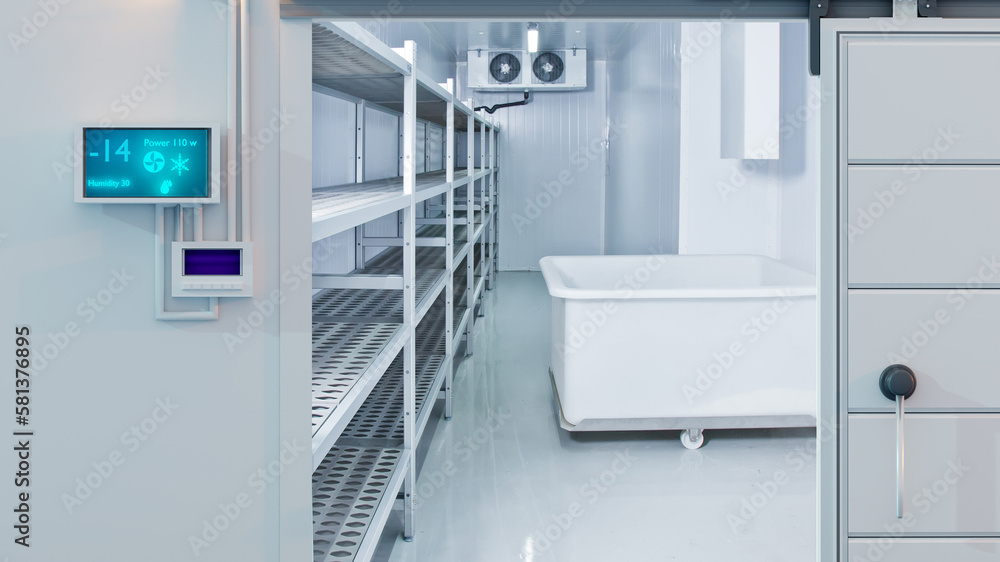 Freezing chamber at enterprise. Storage room with minus temperature. Freezing chamber at pharmacological factory. Entrance to large refrigerator. Freezing chamber with racks along wall. 3d image Freezing chamber at enterprise. Storage room with minus temperature. Freezing chamber at pharmacological factory. Entrance to large refrigerator. Freezing chamber with racks along wall. 3d image