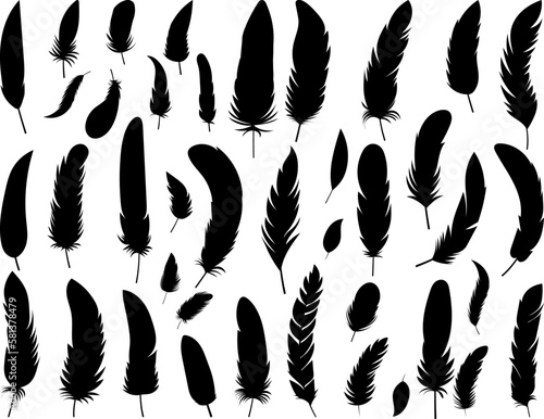 set of feathers birds silhouette vector